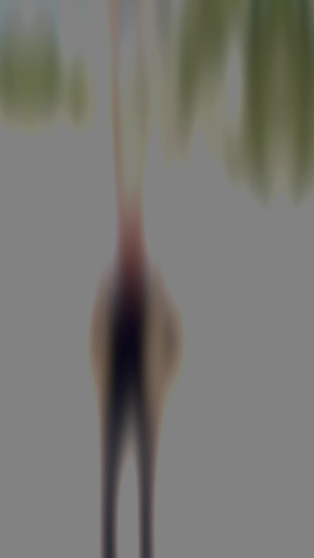 @omerkrtts33
