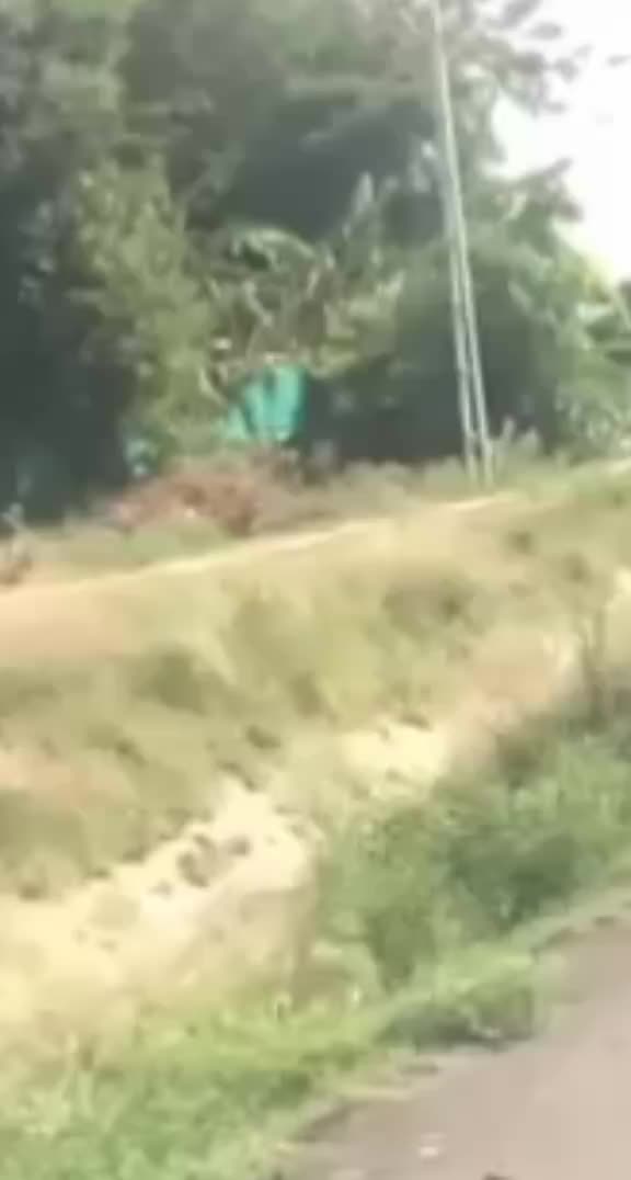 @Kais Gujrati