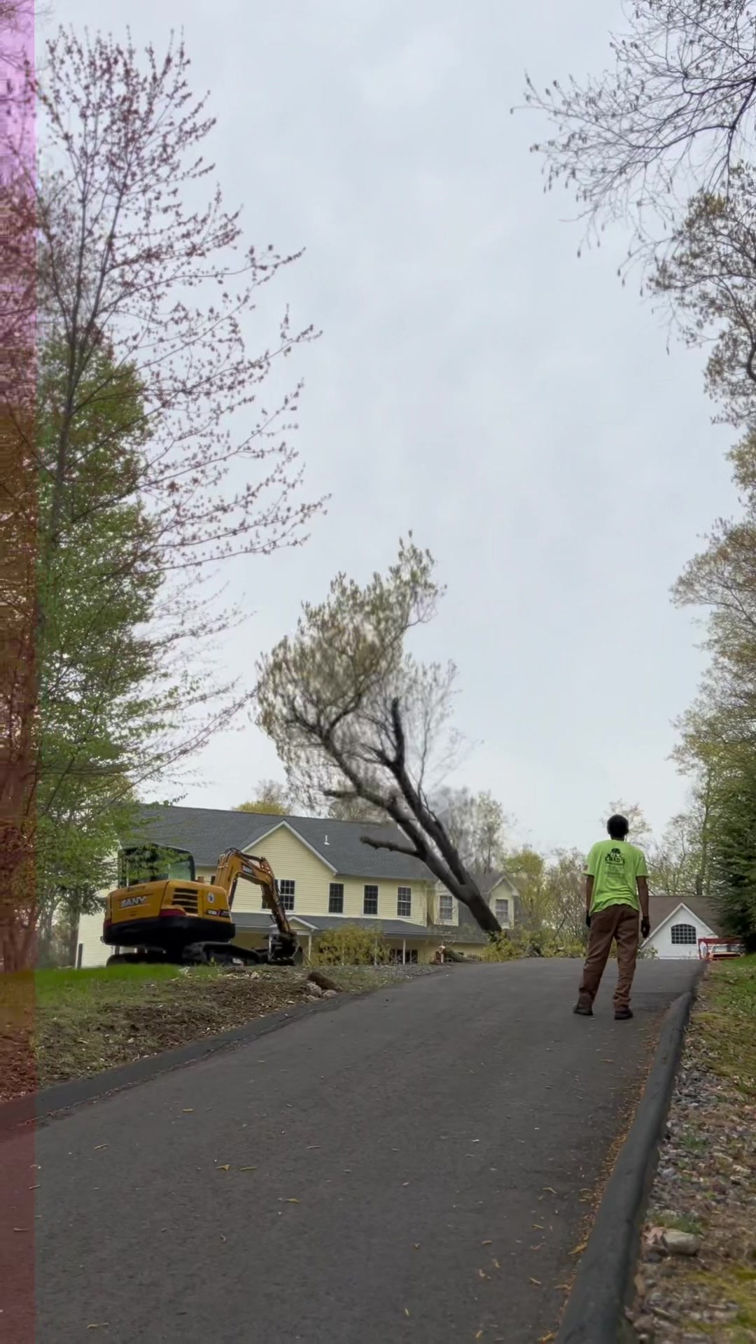 @Chads Tree Service