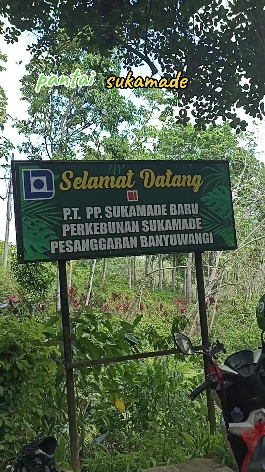 @Banyuwangi❤selatan