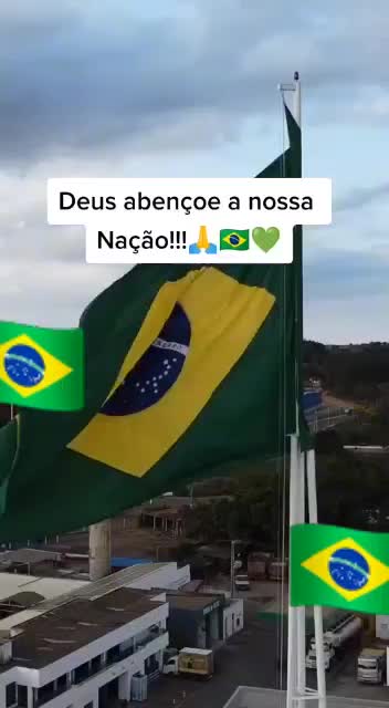 @carolcarmo63