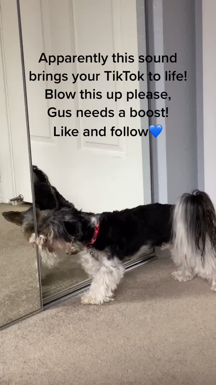 @GrandmaClicksBricks