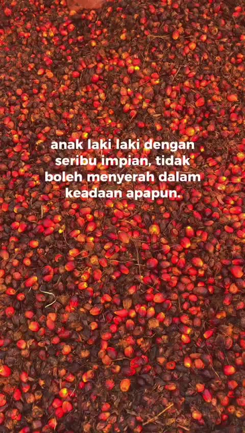 @Gembala_muda💎