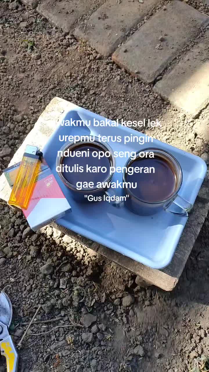 @re_sipid