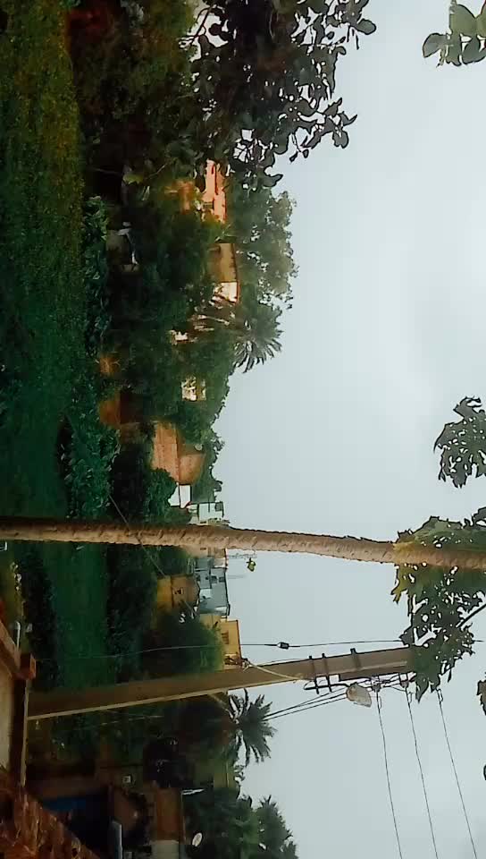 @Nasib Ansari