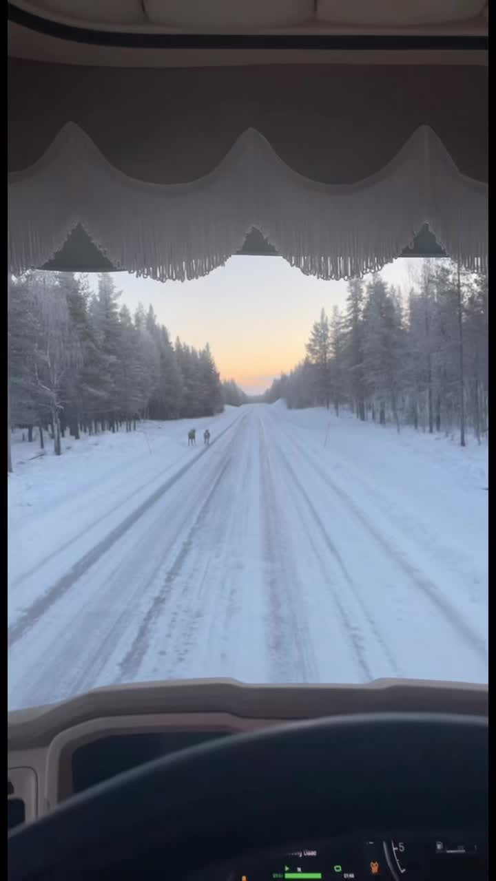 @Kim Hogstvedt Moen