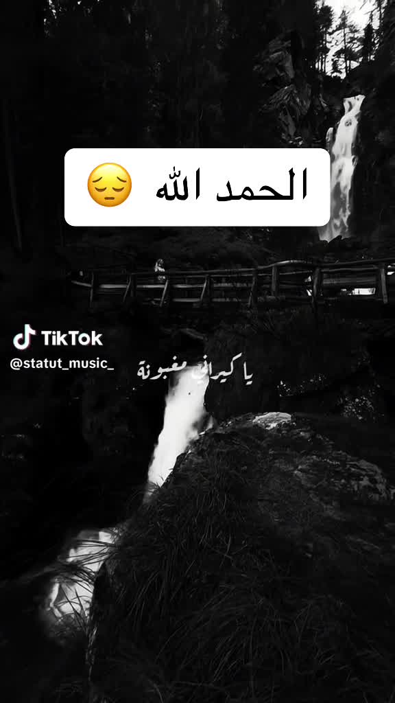 @houdé lamouchi