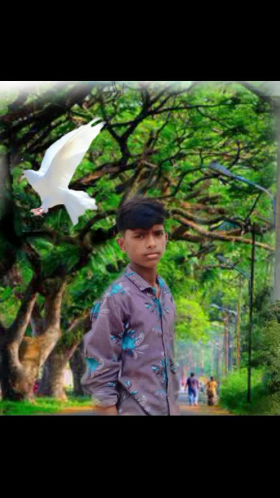 @Krishna Krishna