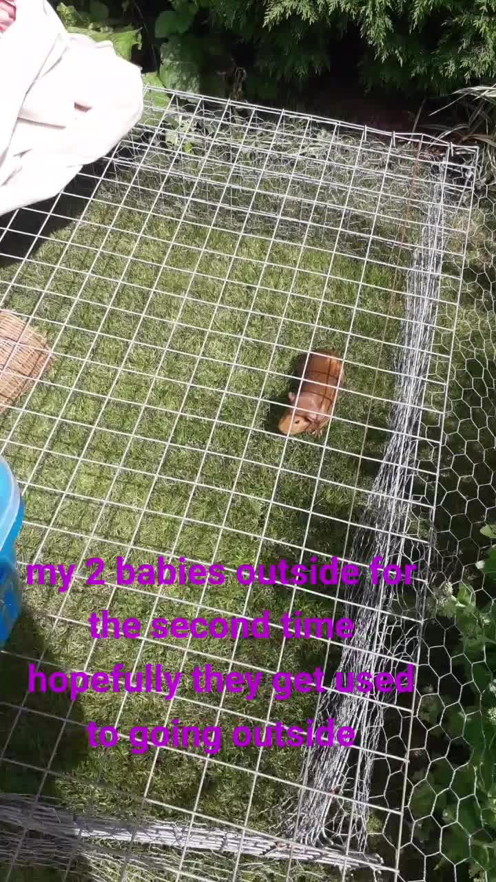 @danielwesteman