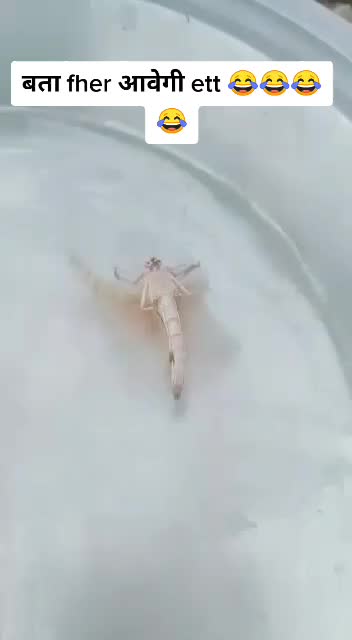 @जख्मी बालक 😏