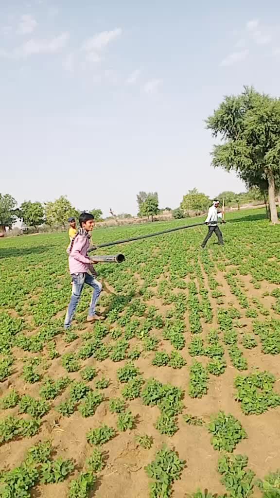 @Aaryan Bikaner