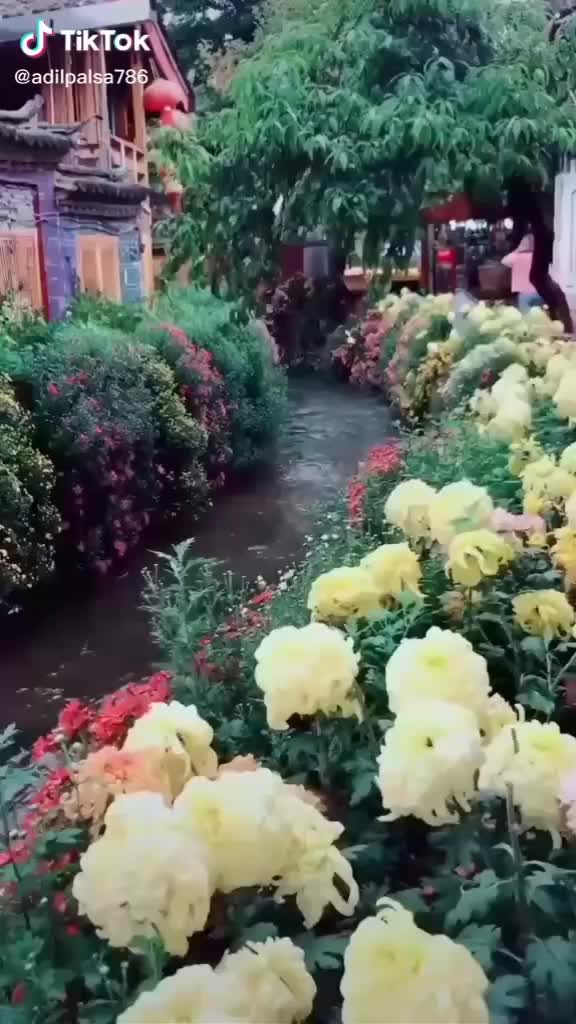 @Phulchan yadav Yadav