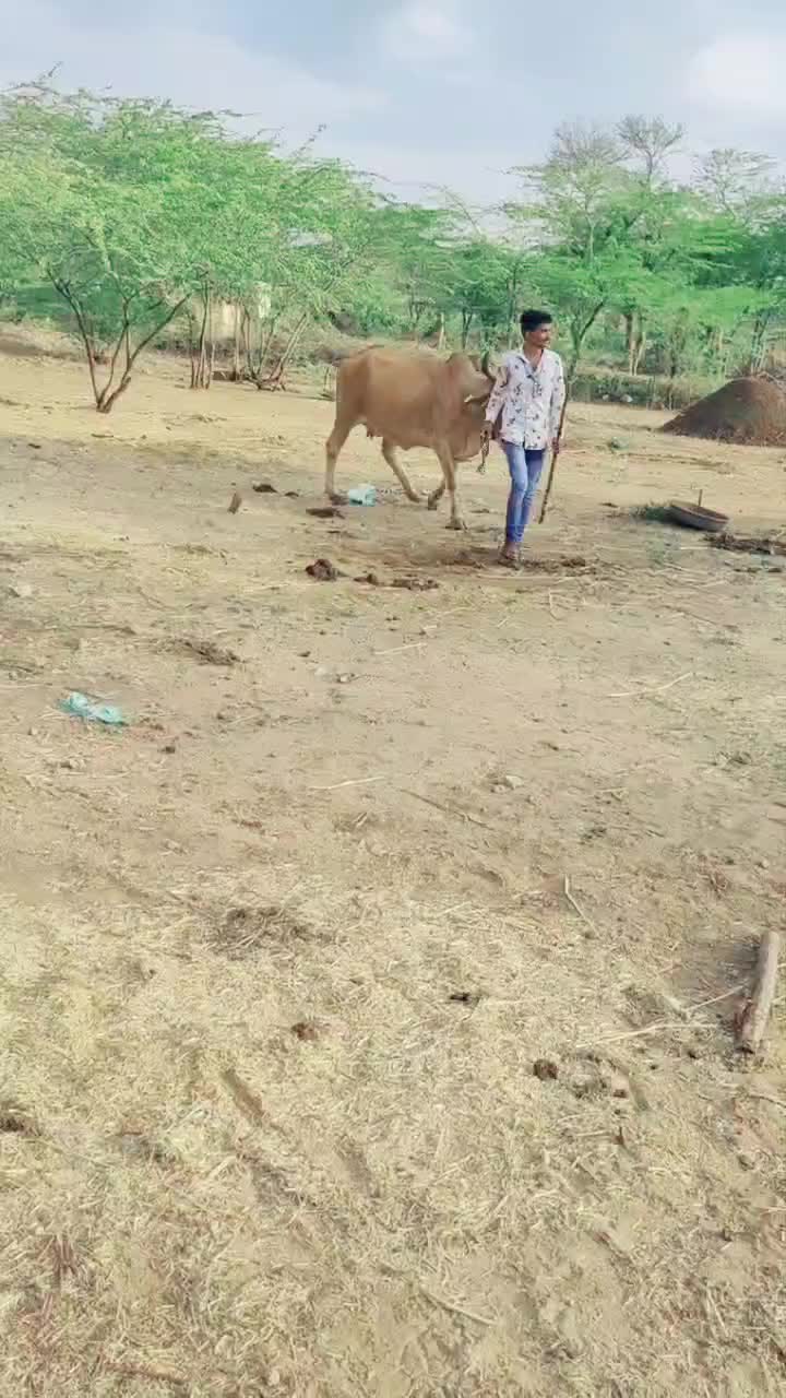 @🔥🔥 Rabari 🔥 rj 🔥