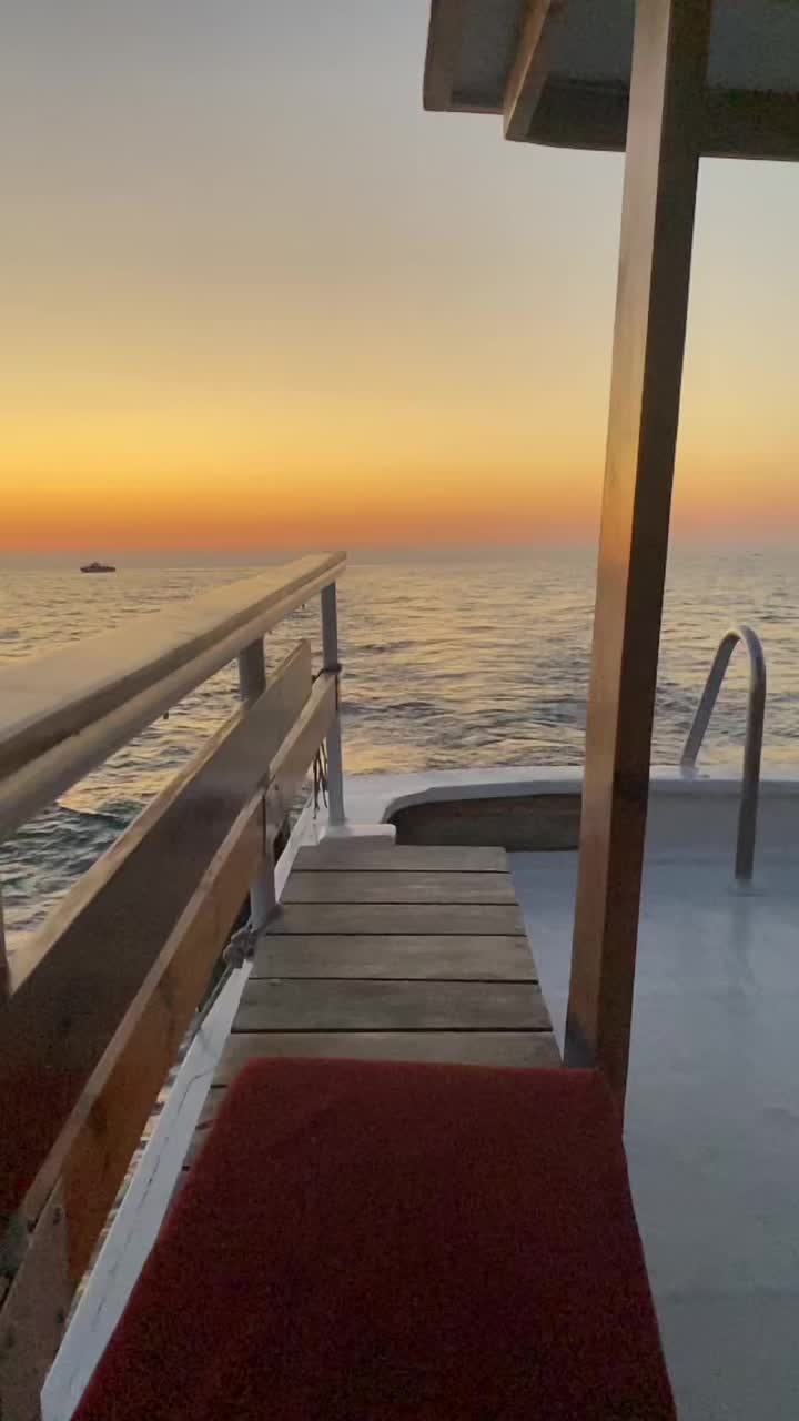 @﮼س🐆🖤