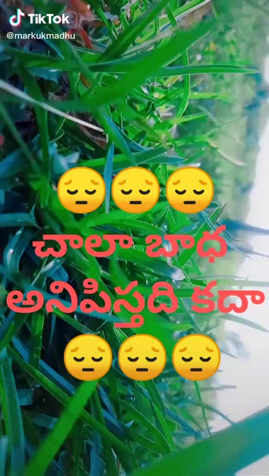 @swamy jakkala