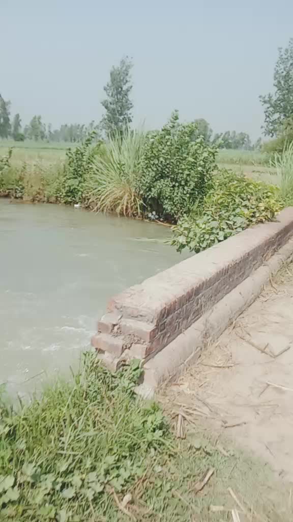 @Suraj Kumar