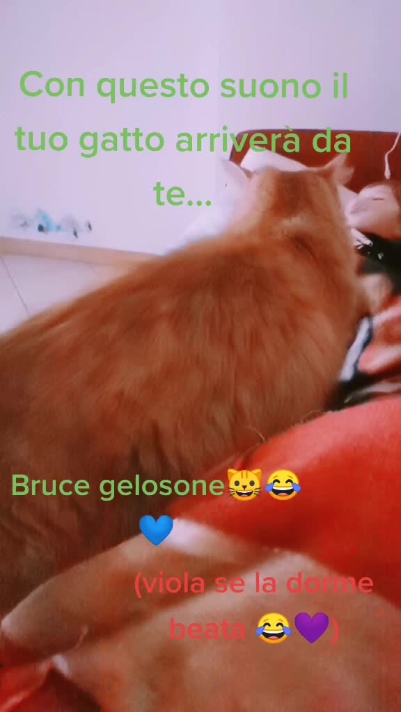 @Rossella Gandolfi