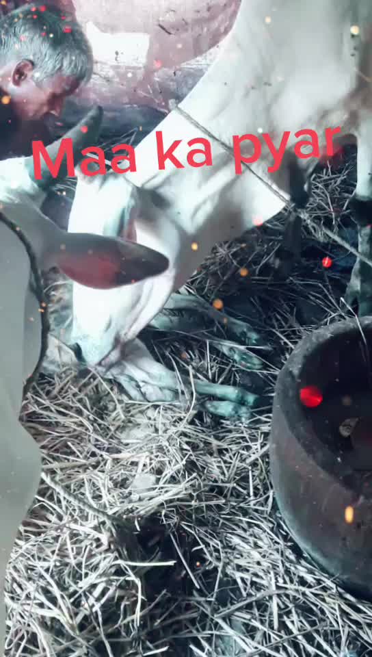 @prakash sahoo