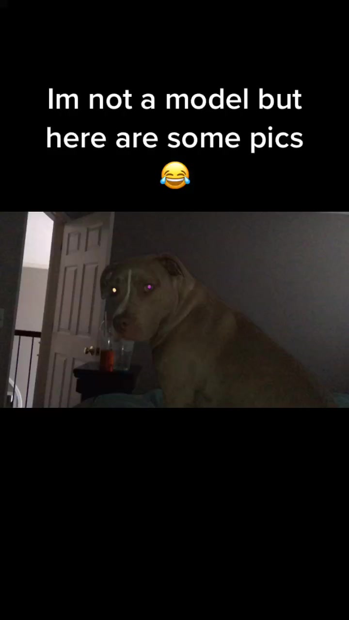 @🥴 Zoey 🥴