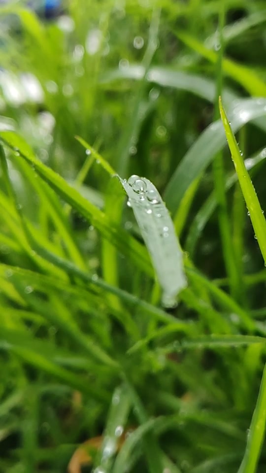 @Subinlal