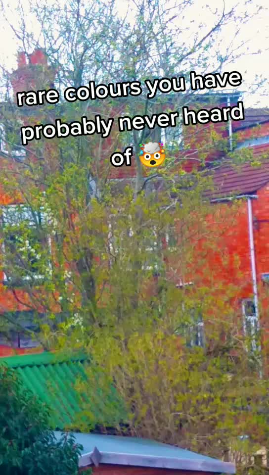 @._.