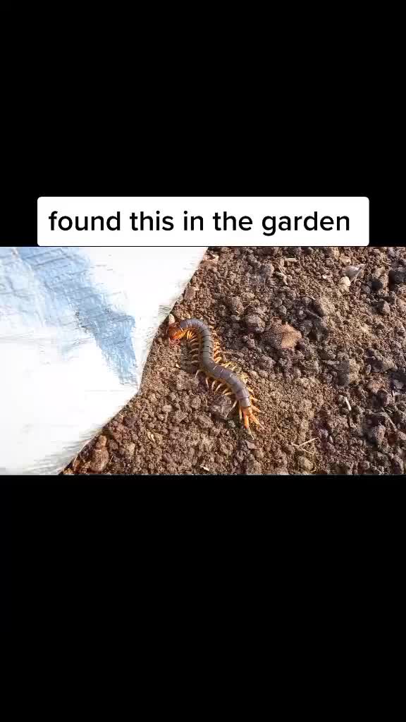 @the_wildlife_master