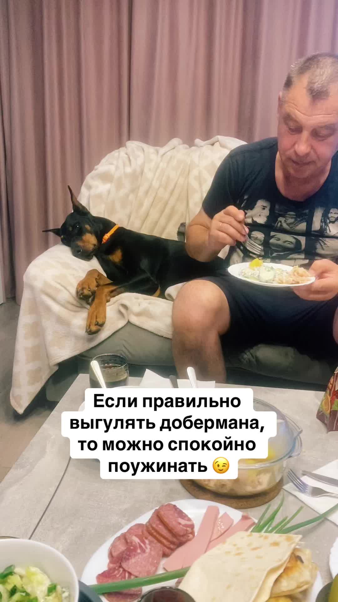 @Доберман Шелби