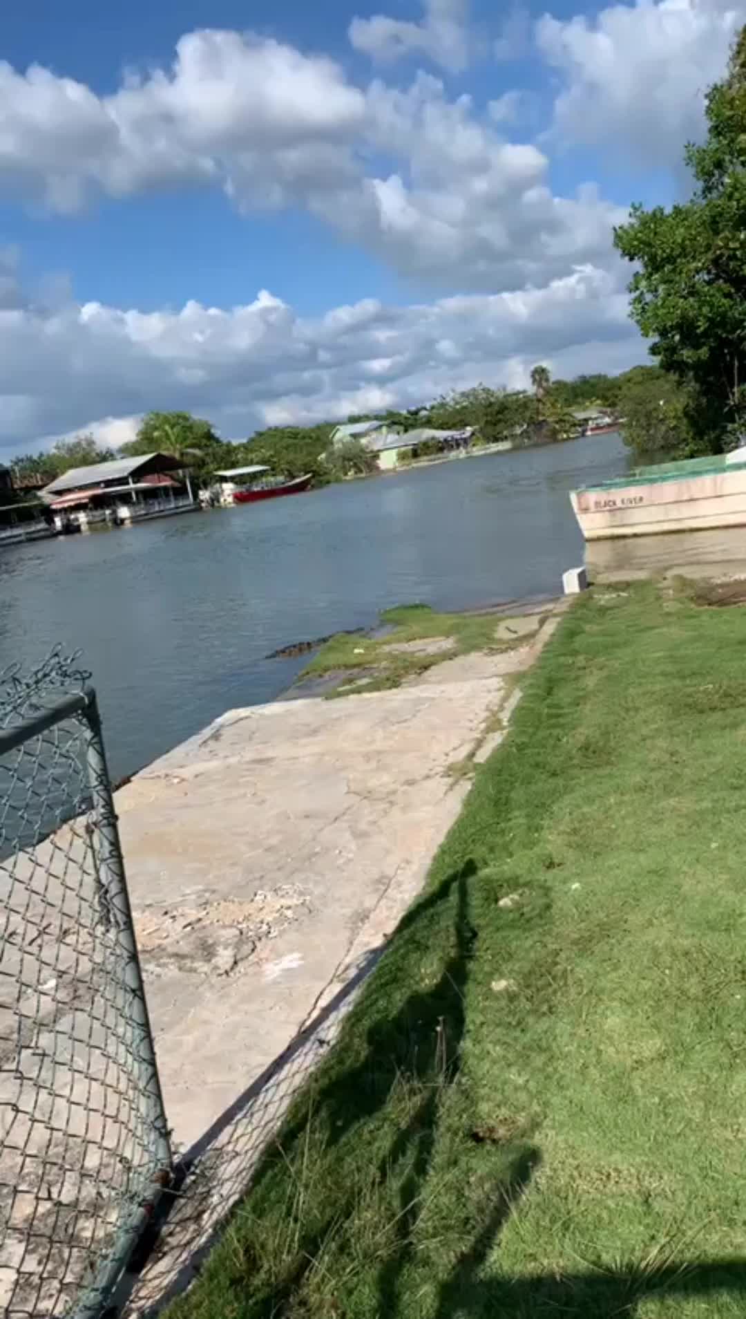 @LoyaltyLevelsboss🇬🇧🇯🇲🇺🇸