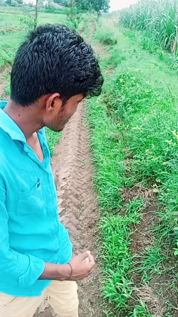 @Pradip Chavan713