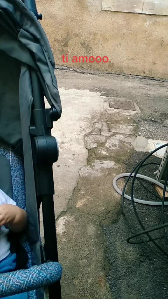 @isabel stivala