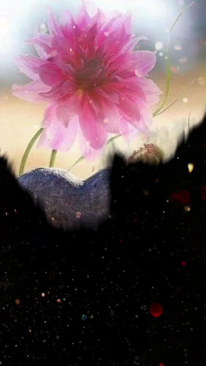 @Rahul_278