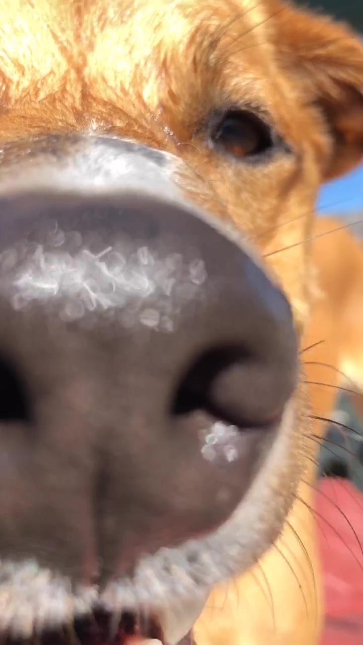 @💖Adia💚