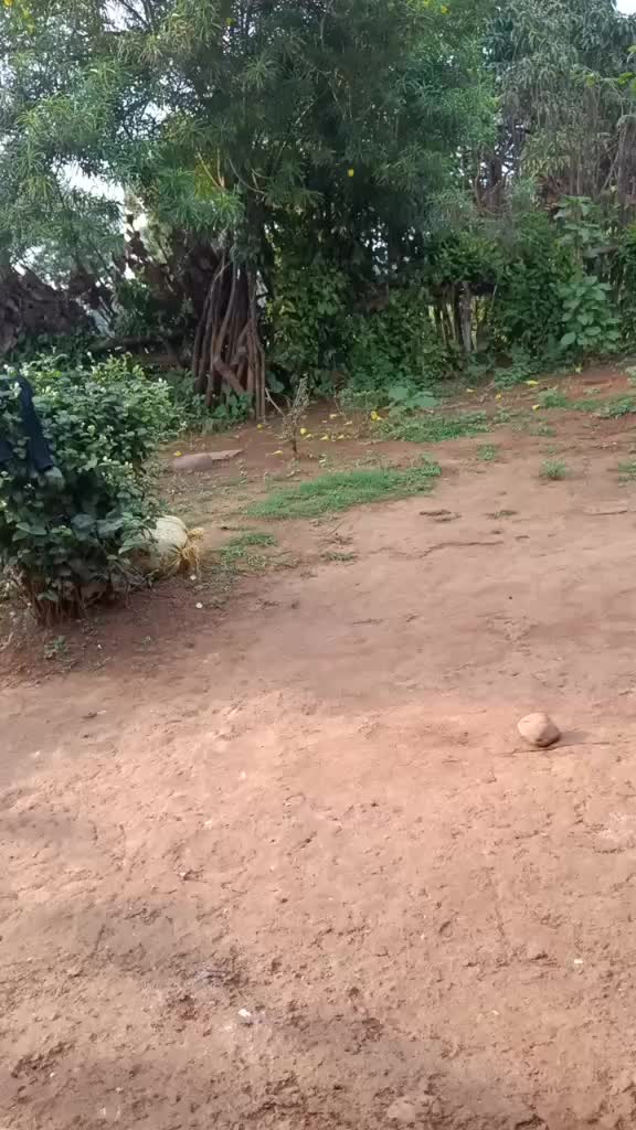@ମହେନ୍ଦ୍ର