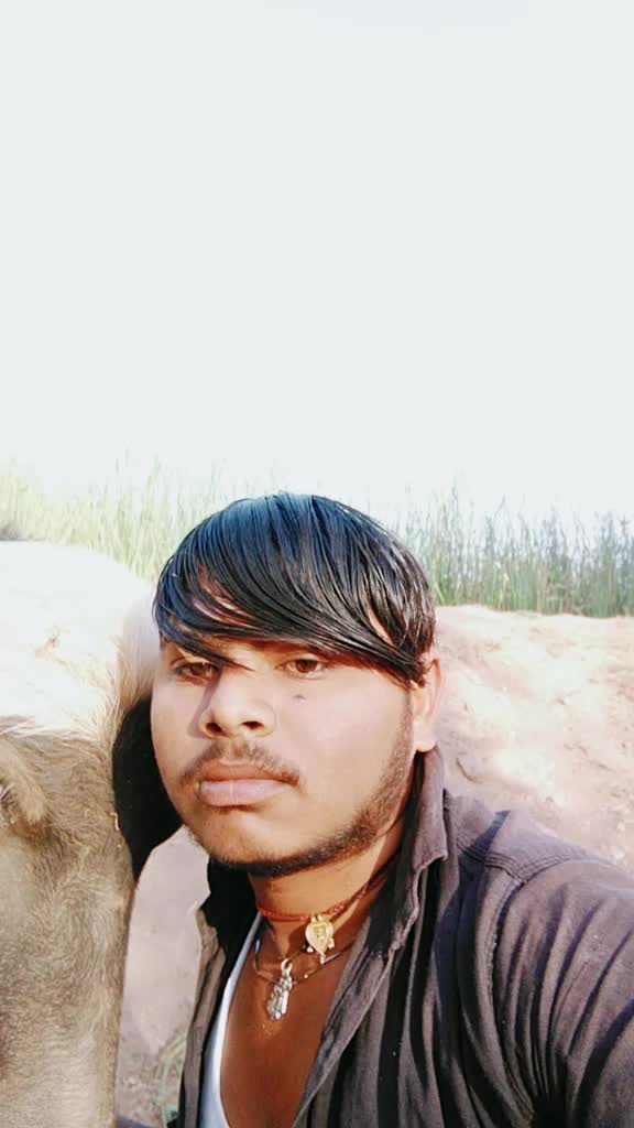 @user5862684916319