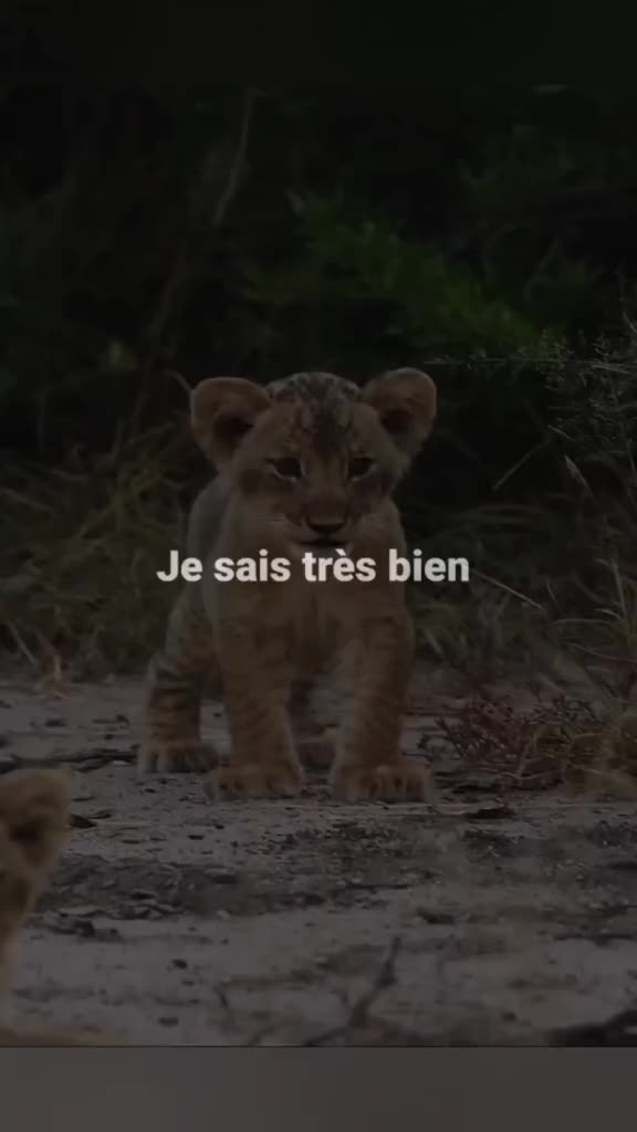 @l&eacute;gendes