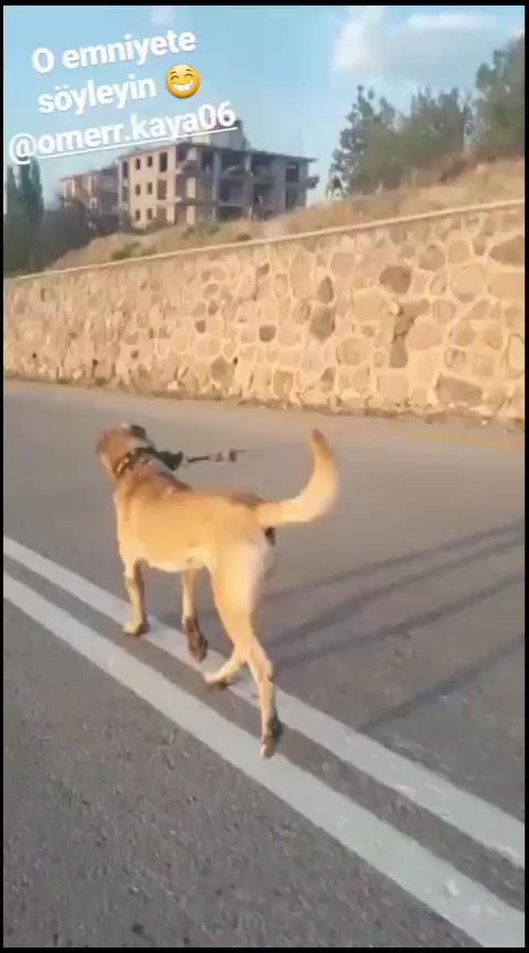 @YUSUF GÜDÜCÜ
