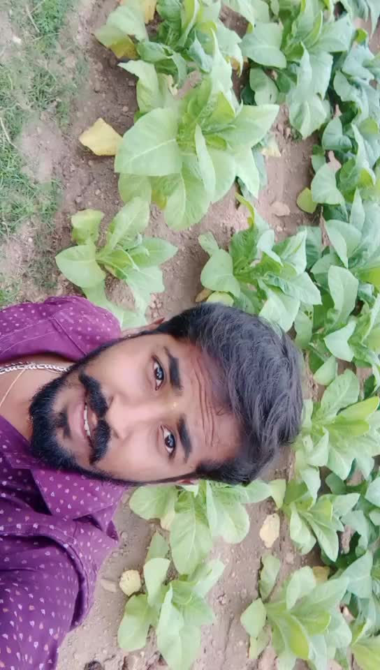 @praveena m
