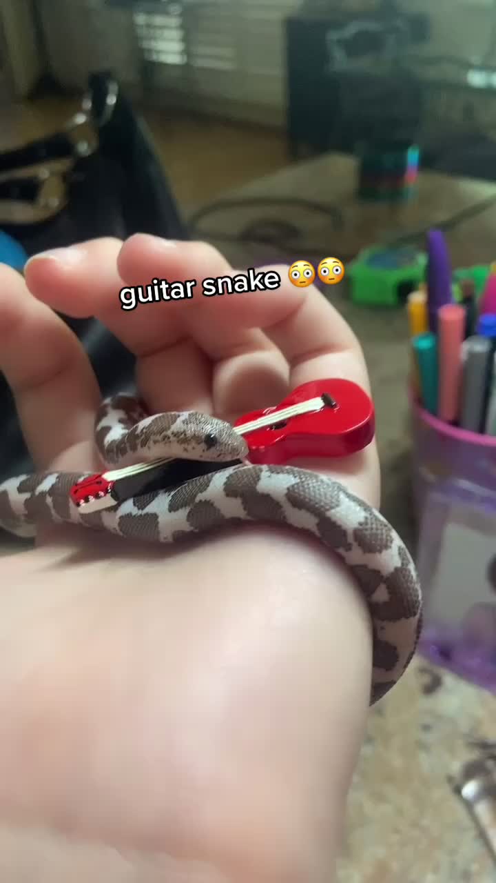 @Tortellini