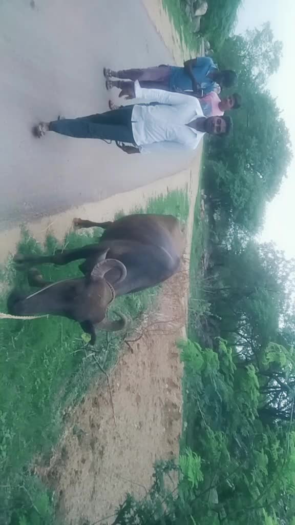 @Saikrishna