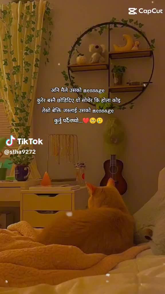 @MR Ashish ⚔️🇳🇵123