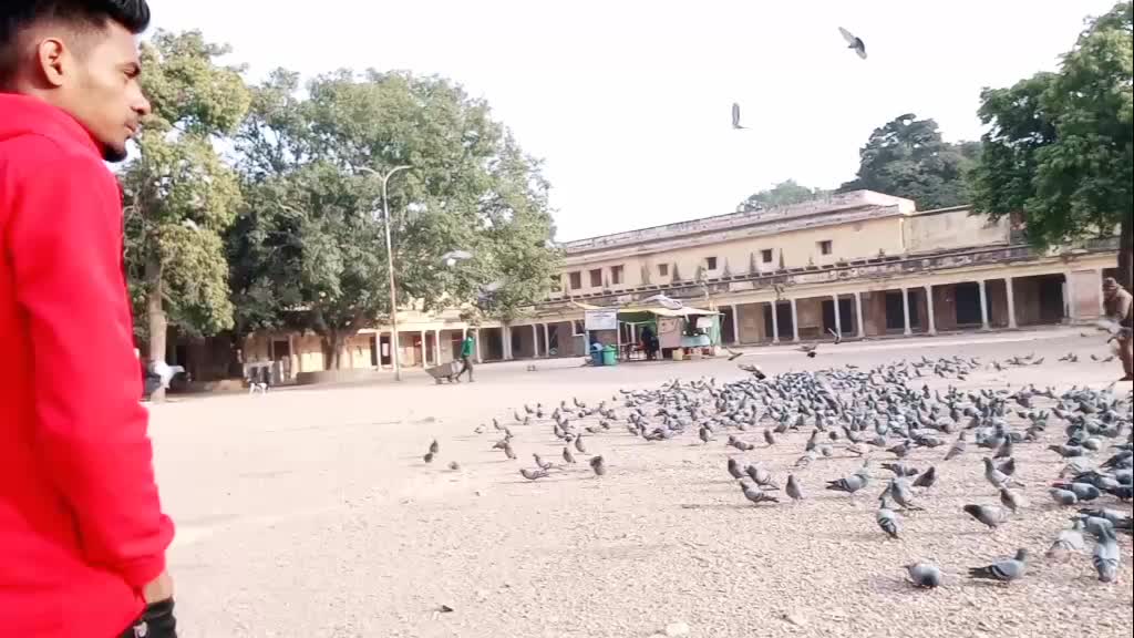 @salman khan