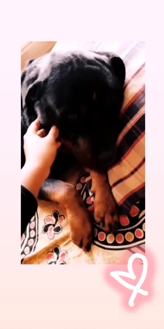 @sahanasanugowda17