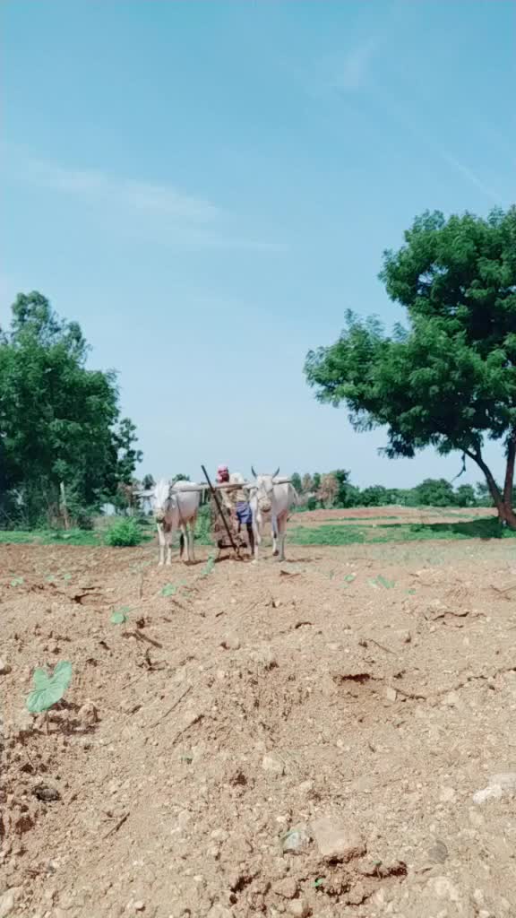 @sampathmudhiraj93