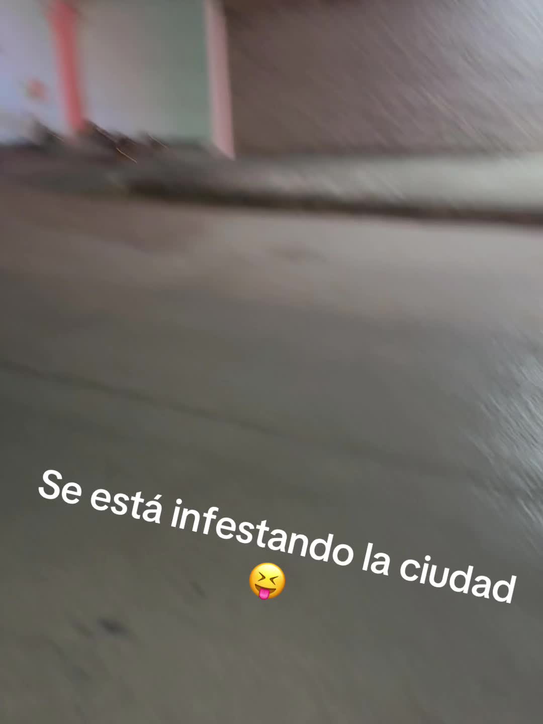 @Alejandro Bnton