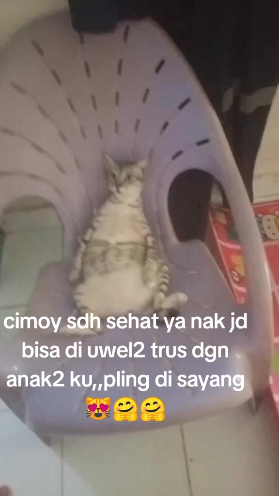 @yoana