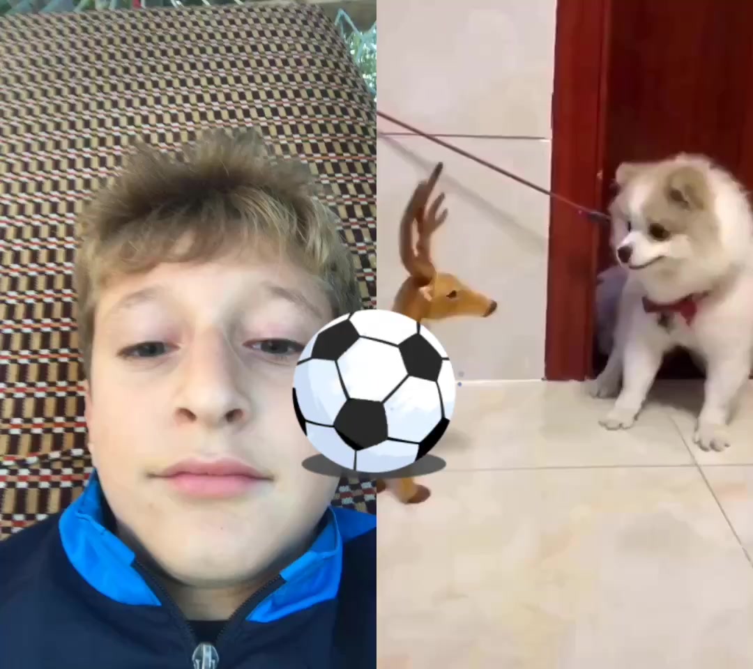 @Doğan Denizhan