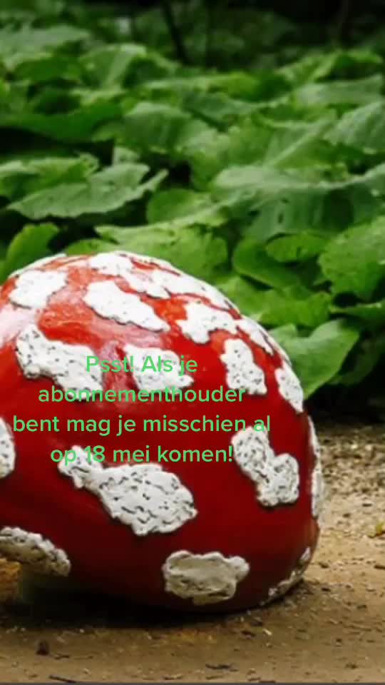 @✨Eftelweetjes✨