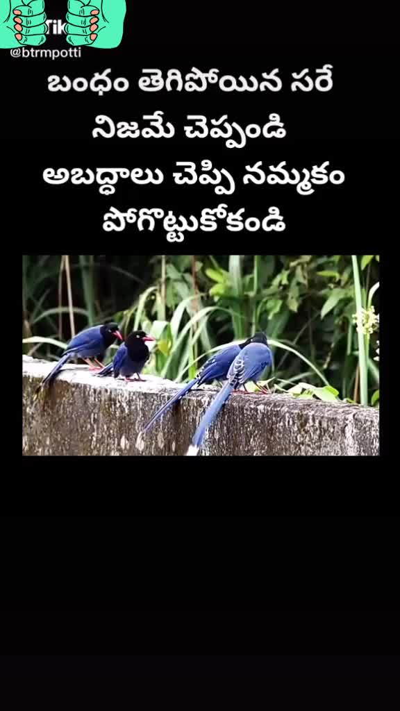 @Darlingvenky143.