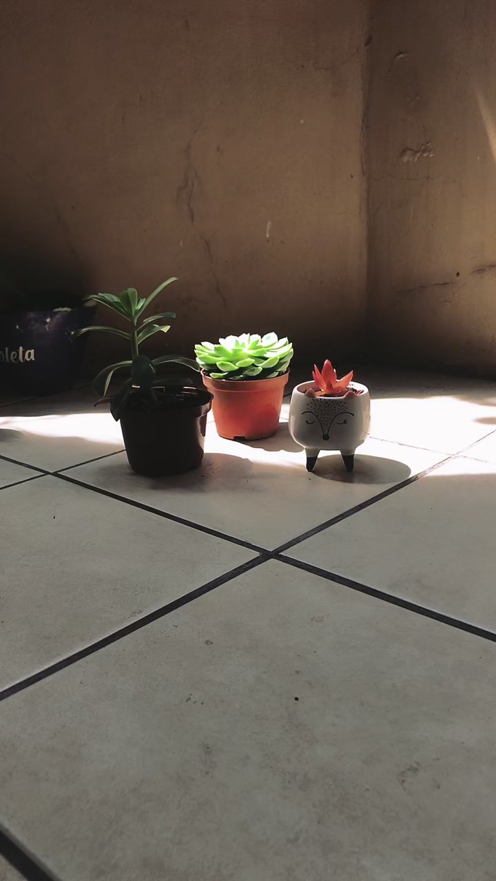 @Mia