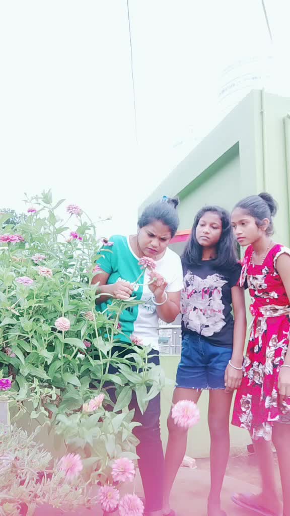 @Pritu